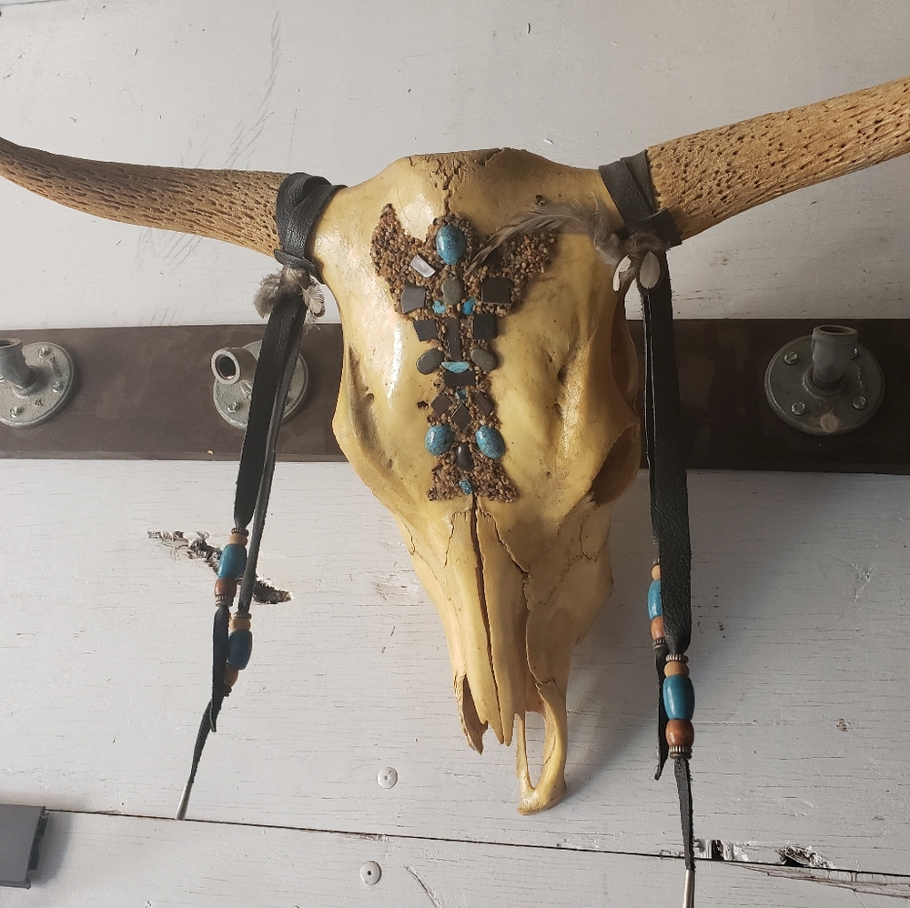 Cow skull art
